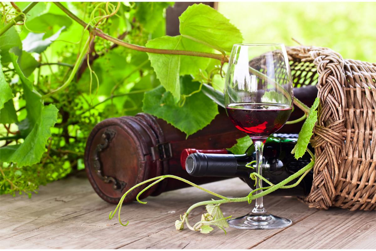 Calice di vino Sagrantino