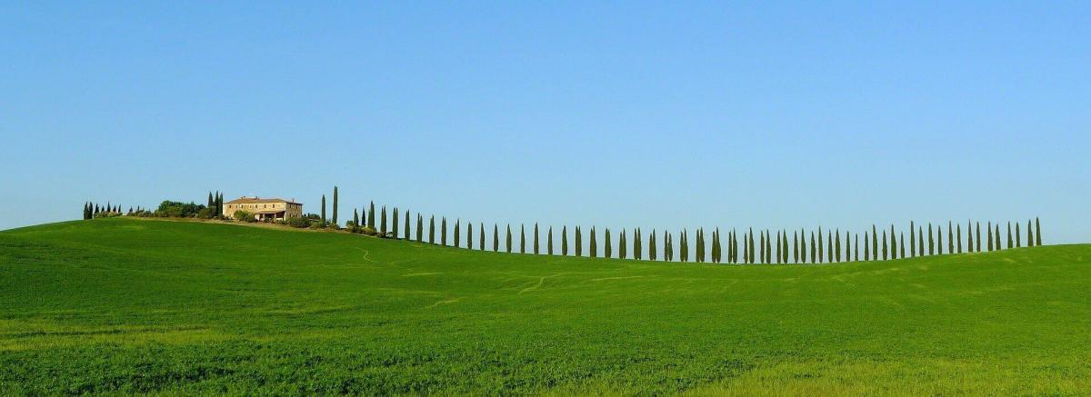 Campagna vicino Bulgheri