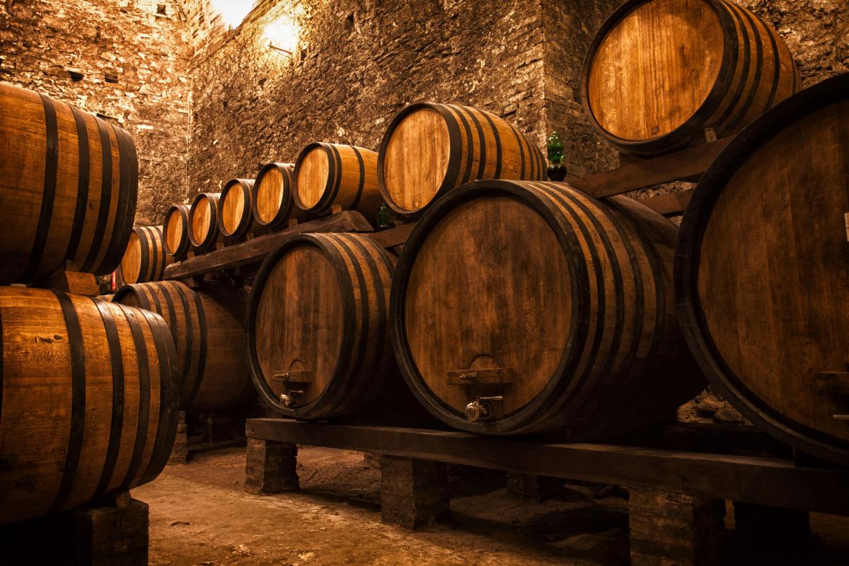 La strada del vino e dei sapori: visite nelle cantine del Trentino