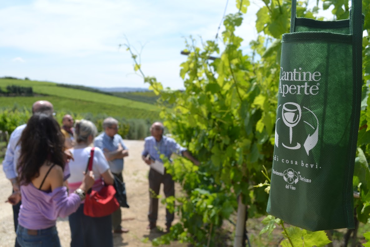 Cantine aperte: enoturisti visitano un vigneto