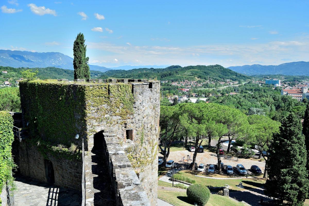 Il Vino della Venezia Giulia: il Castello di Goriziae