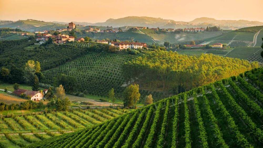 Freisa: il vino piemontese sarebbe originario dei colli di Asti