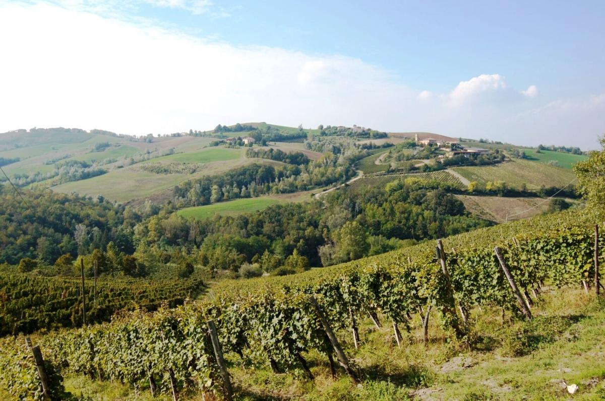 Colli Piacentini strada vini