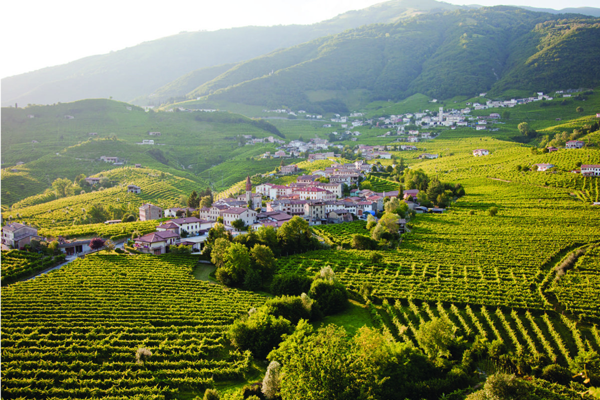 Colline del prosecco conegliano valdobbiadene