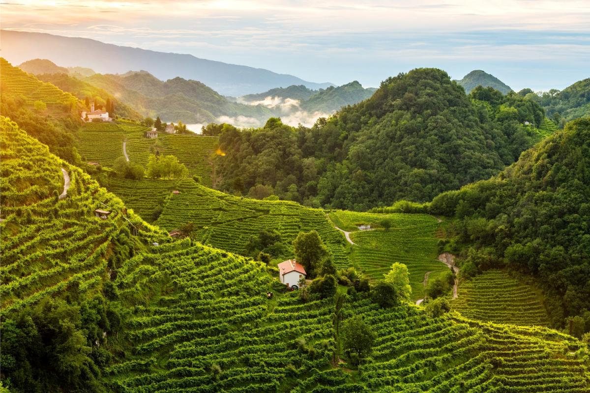 Colline del prosecco morfologia