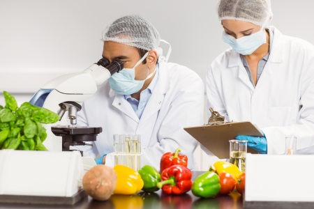 Analisi in laboratorio degli alimenti