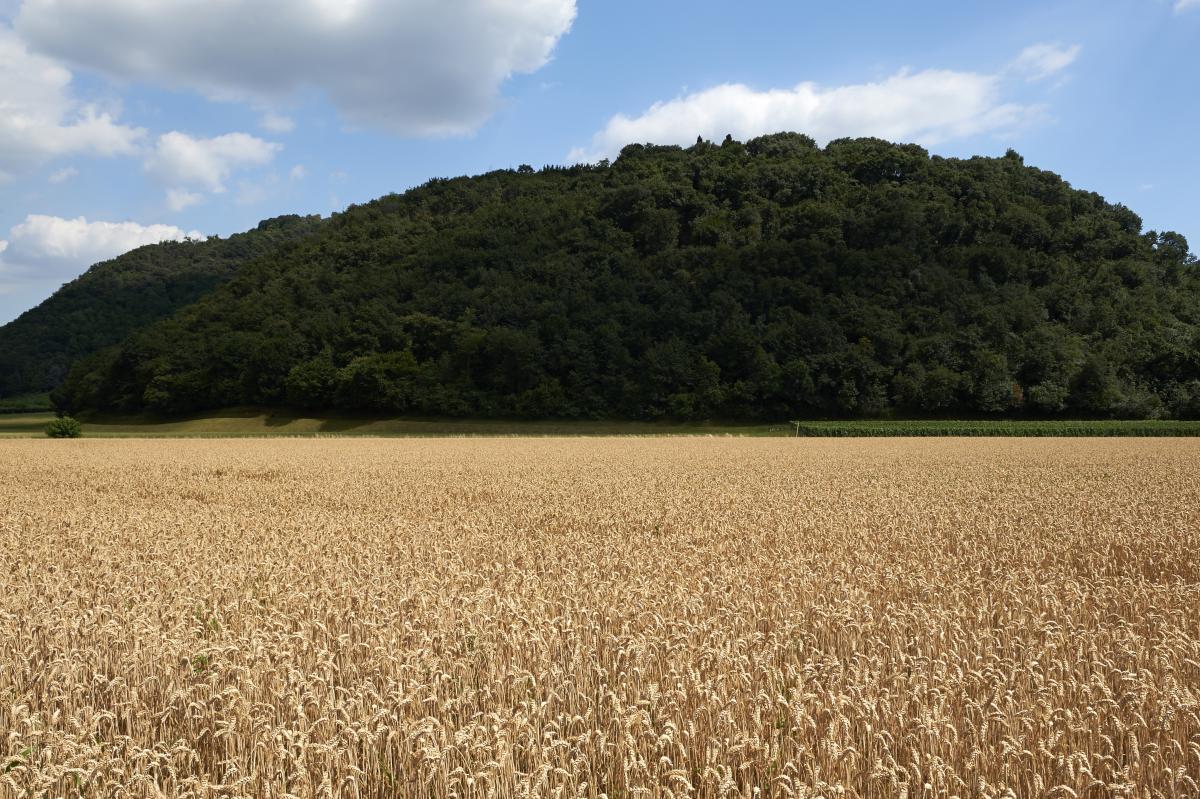 Franciacorta in bicicletta: il percorso giallo