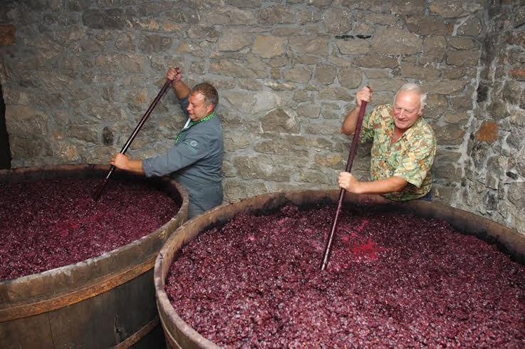 l'uso di zucchero nel vino: molto spesso il vino è contraffatto