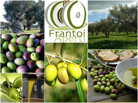 Frantoi Aperti 2018: olio di oliva in Umbria
