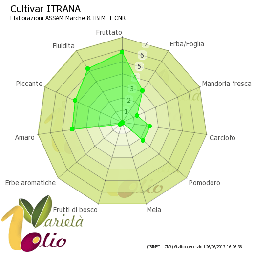 Aromi identificativi della cultivar Itrana