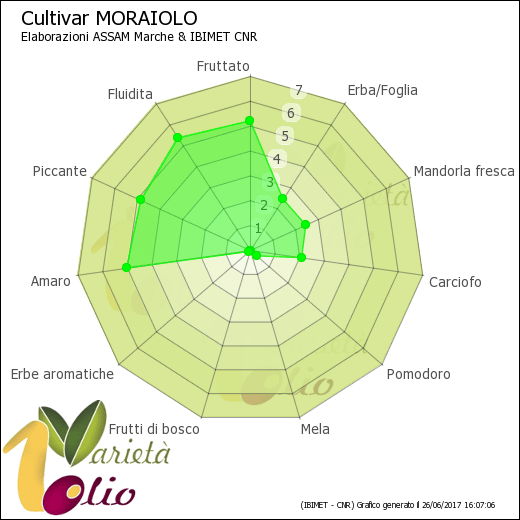 Aromi identificativi della cultivar Moraiolo