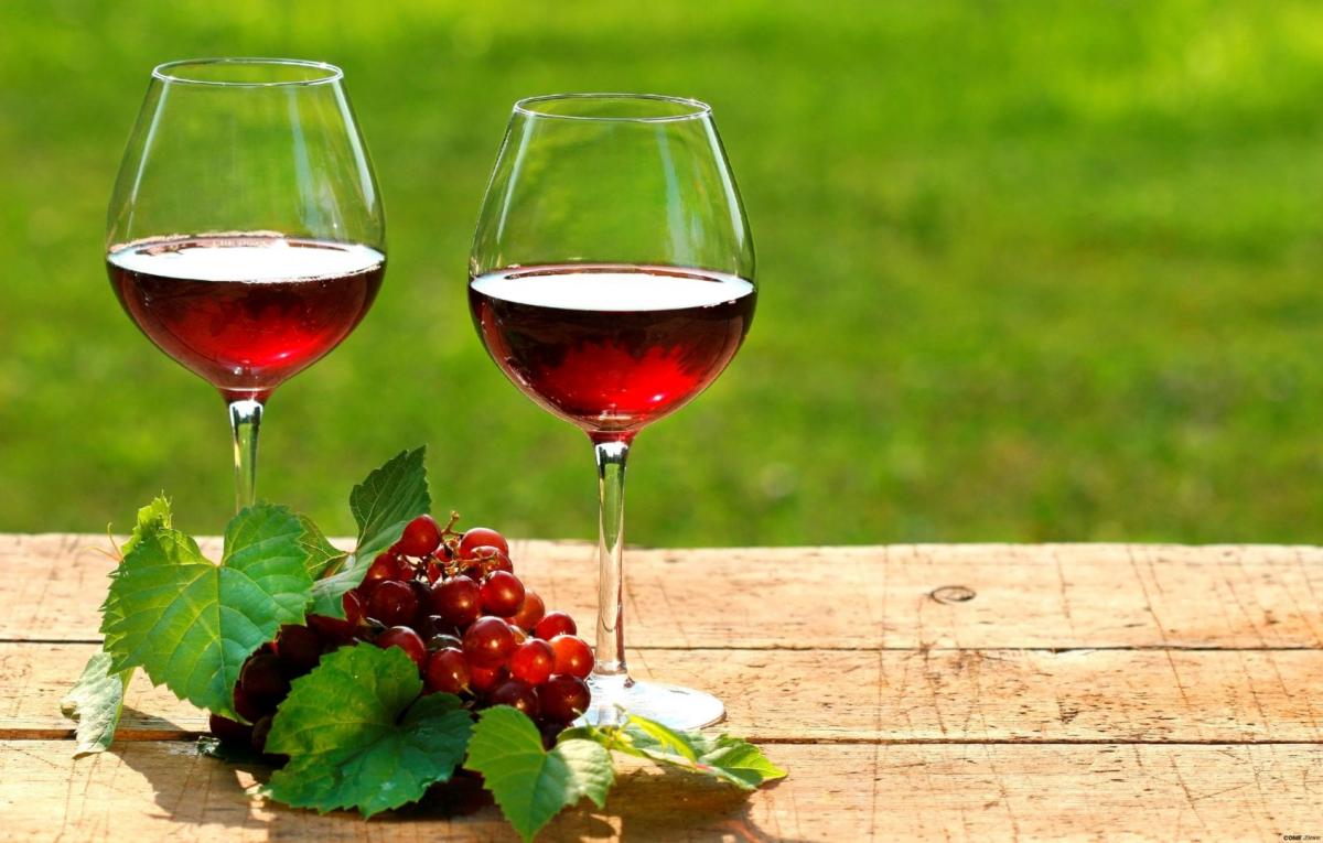 Calici di Barbera d'Asti