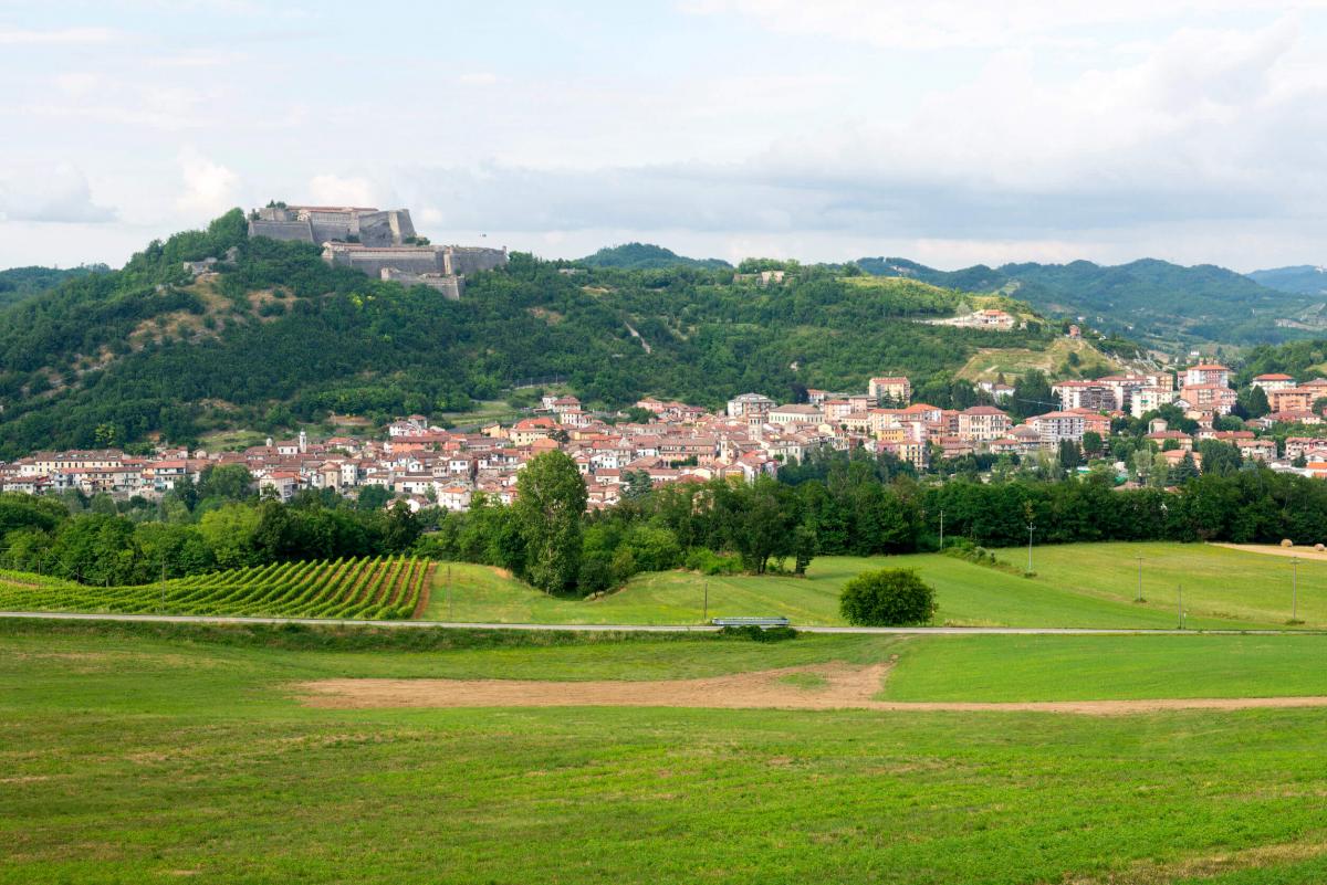 Cortese: Monferrato Gavi