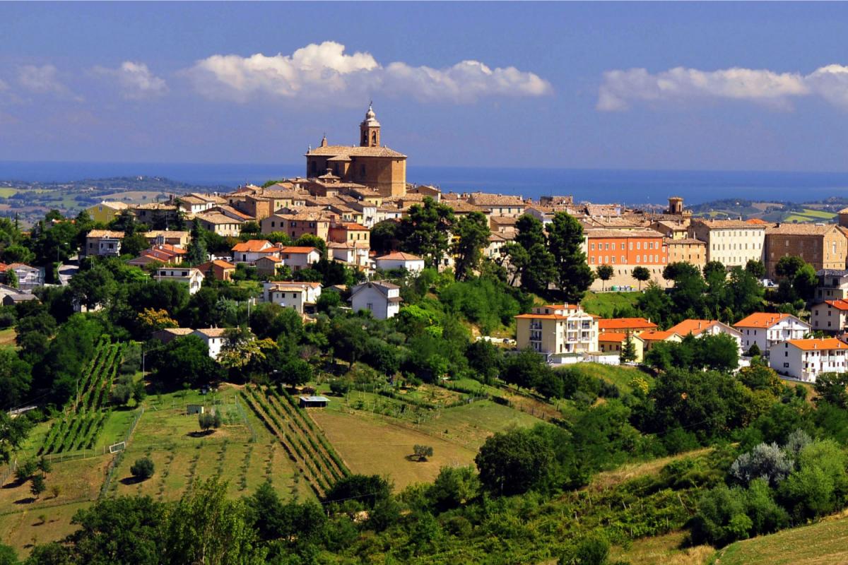 Montecarotto strada del Verdicchio di Jesi