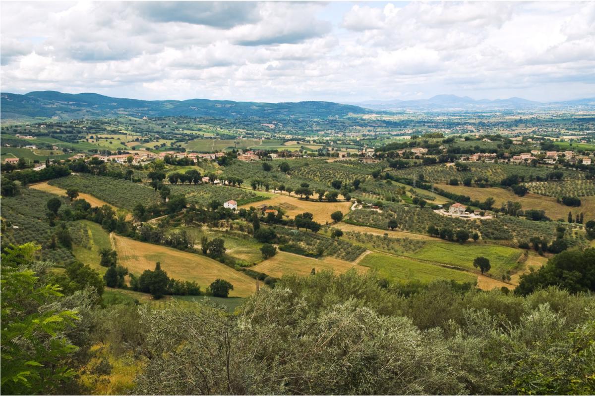 Montefalco Sagrantino
