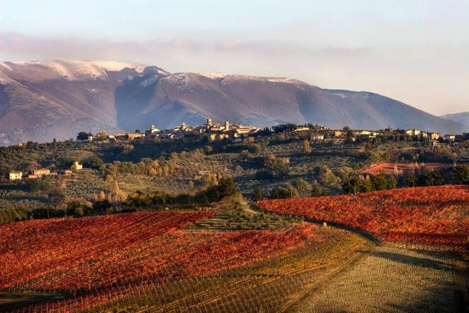 Cantine Aperte 2018 in Umbria: panorama su Montefalco