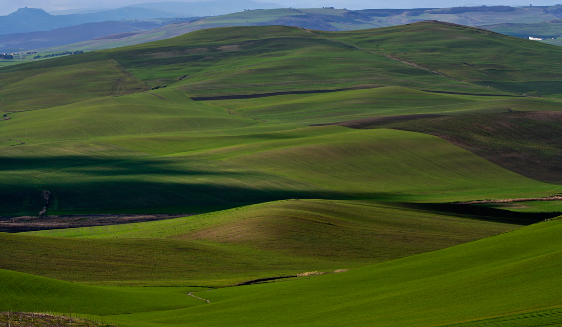 murge Vini di puglia