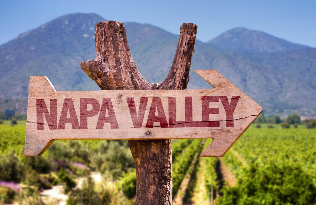 Vino Napa Valley