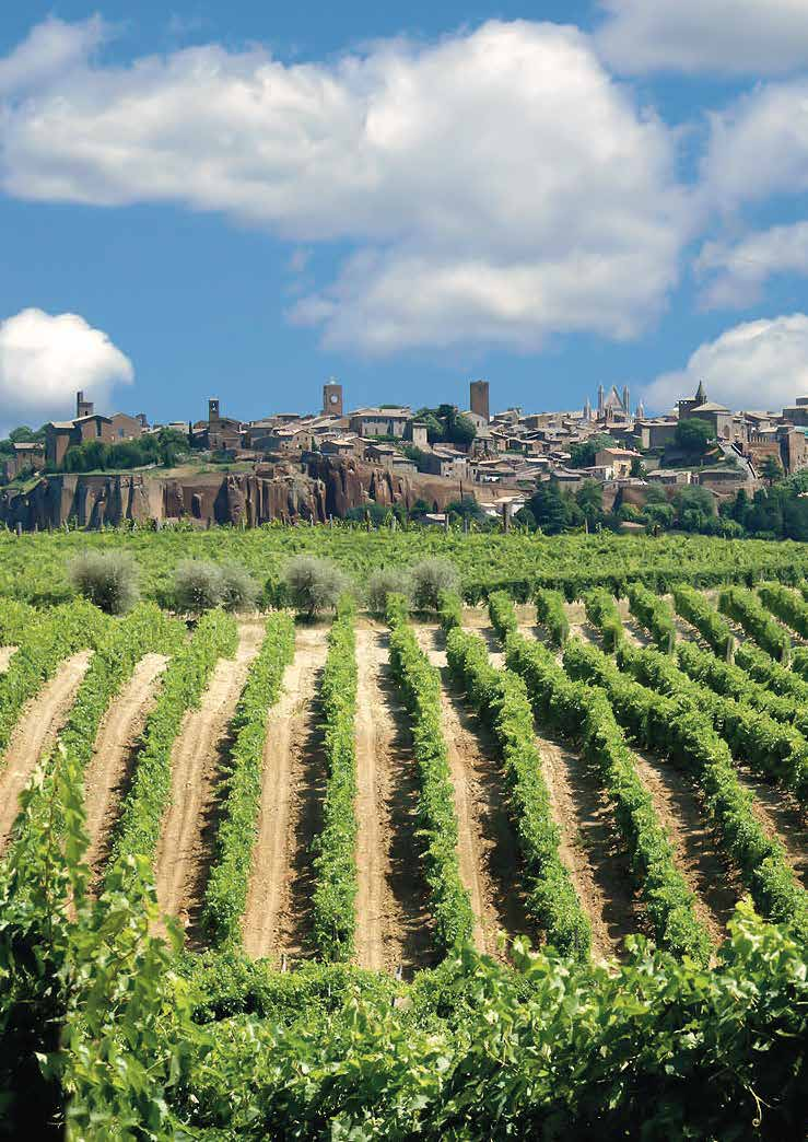 Orvieto