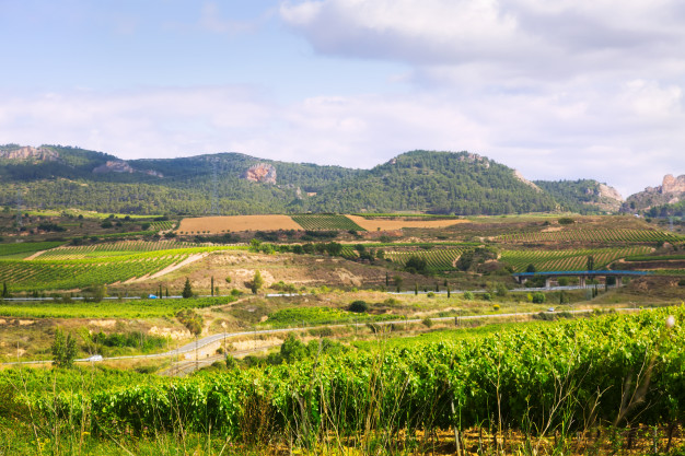 Enoturismo in Rioja: un paesaggio della Rioja