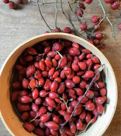 piatto rosa canina