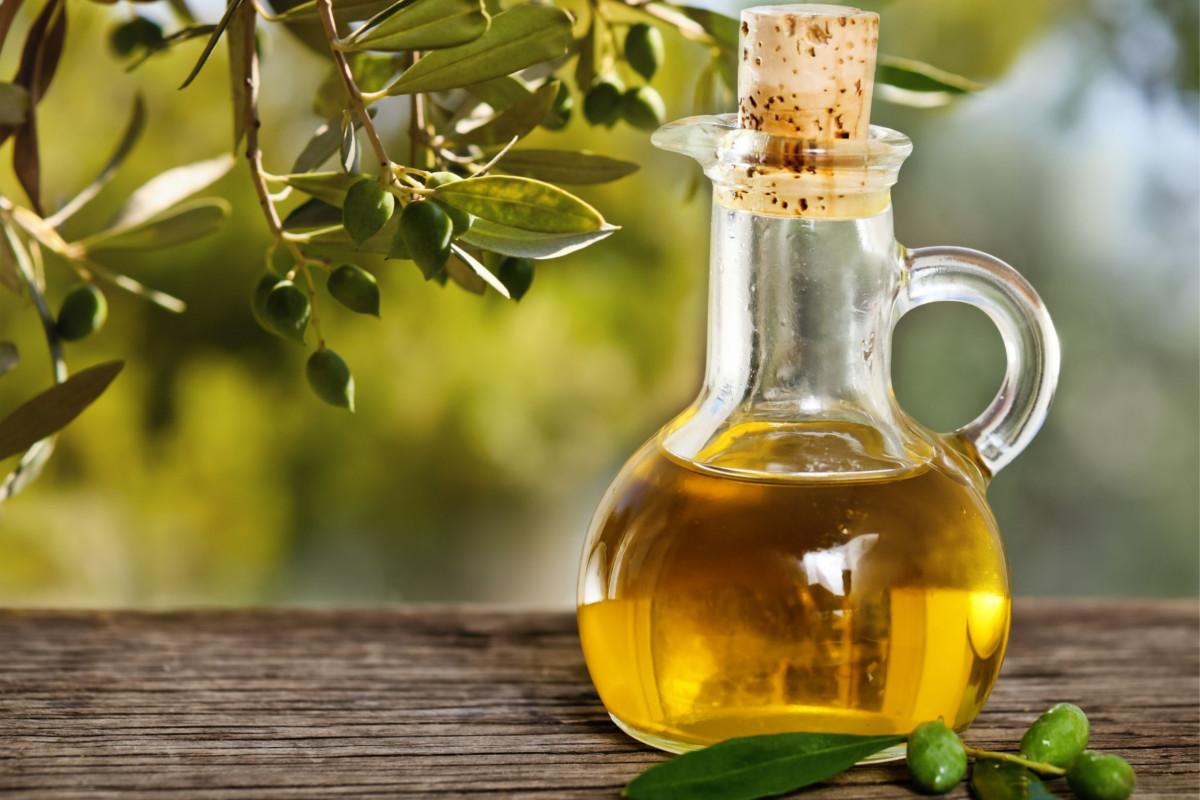 Raccolta olive italia 2019 olio