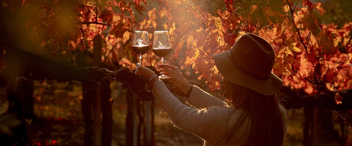 Trekking tra i vigneti umbri con Sagrantino Trek in Autunno
