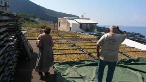 Scannizzamento della Malvasia delle Lipari