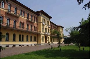 Portinnesti per la vite: scuola di Conegliano