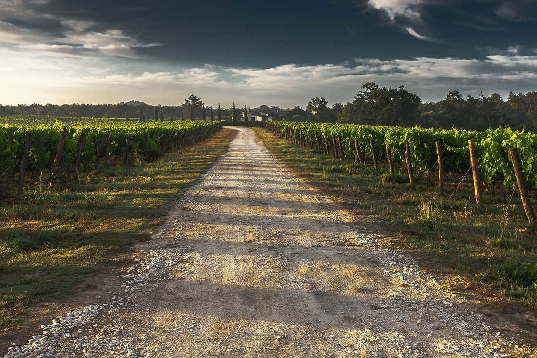 Strada del vino maremma