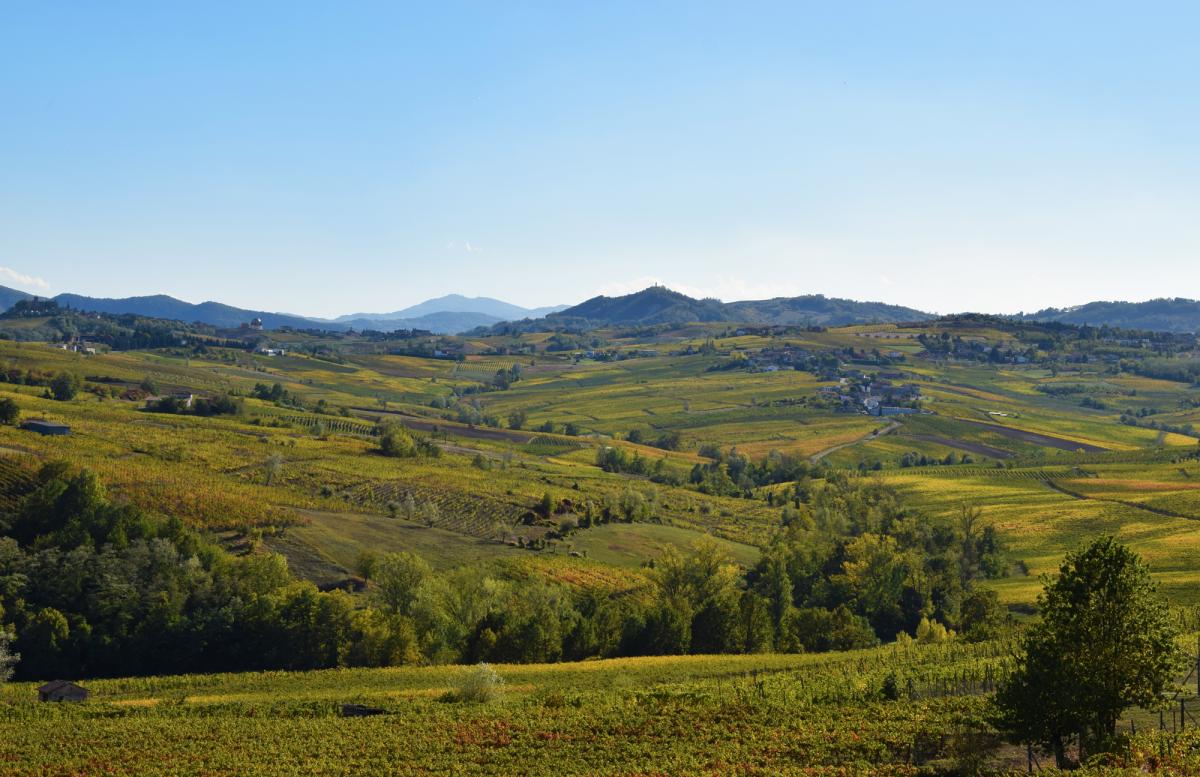 Strada Vini Colli Piacentini Val Tidone