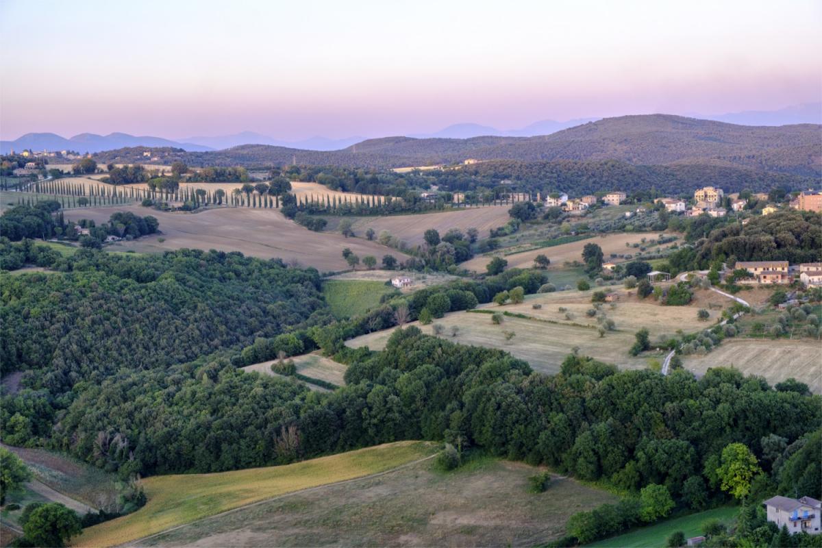 strada vini etrusco romana Amelia