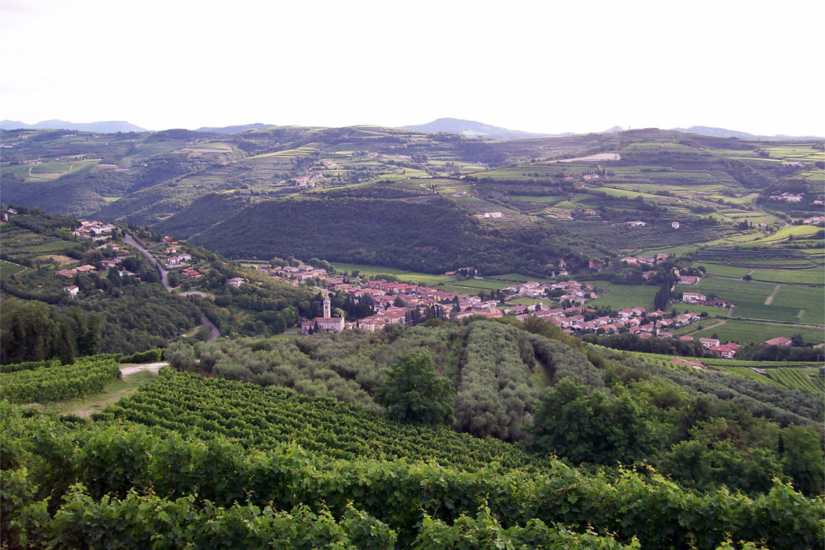 strada del vino Soave mezzane