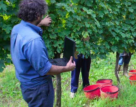 Studenti della Scuola di Enologia nel corso di un laboratorio pratico