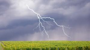 tempesta sul vitigno