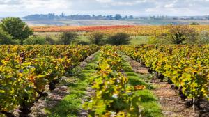 Le due culture: antitesi o sintesi