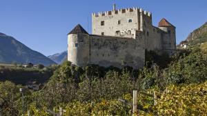 Il vino in Trentino Alto Adige