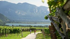 In bicicletta lungo la Strada del vino dell'Alto Adige