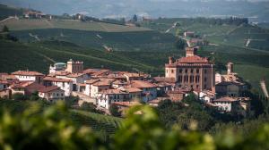 Agosto 2017 al Wine Museum di Barolo