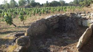 Sos lacos de catzigare: i palmenti rupestri della Sardegna centrale