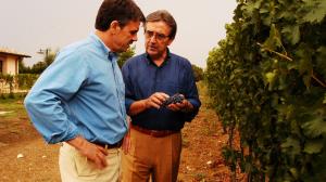 eventi enologo e vino 