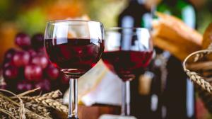 Cantine Aperte 2022 Cantine Aperte 2022