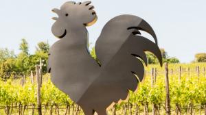 Chianti Classico Chianti Classico