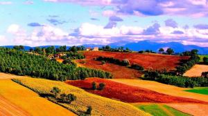 Verdicchio di Matelica