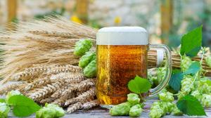 Produzione sostenibile della birra in Italia