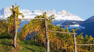 Lagrein Alto Adige