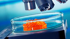 Il nuovo Regolamento UE 625 per il controllo ufficiale sugli alimenti