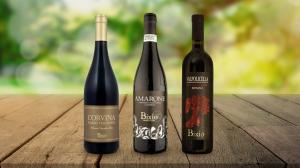 Amarone della Valpolicella