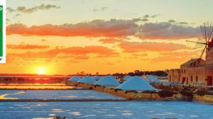 La strada del vino di Marsala