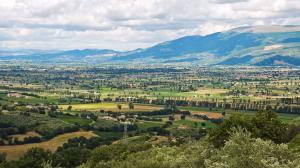 New Green Revolution Montefalco paesaggio Montefalco